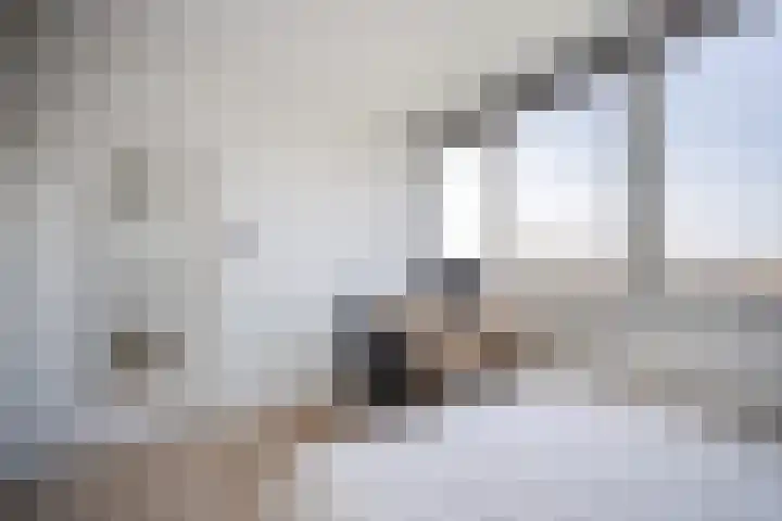 Lelystraat 2 G88 Breda thumbnail 35