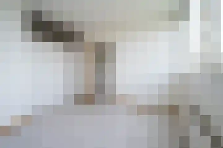 Lelystraat 2 G89 Breda thumbnail 8