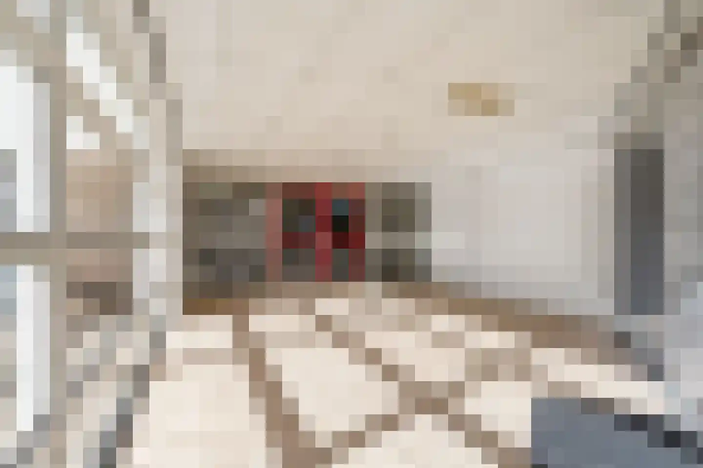 Lelystraat 2 H108 Breda thumbnail 27