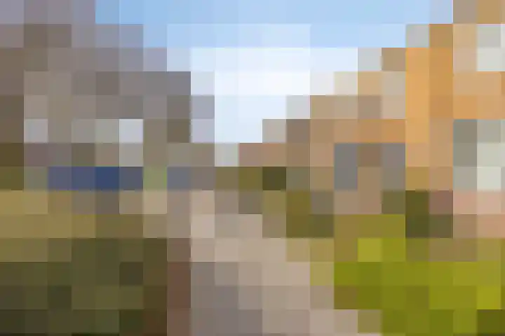 Lelystraat 32 Kampen thumbnail 35