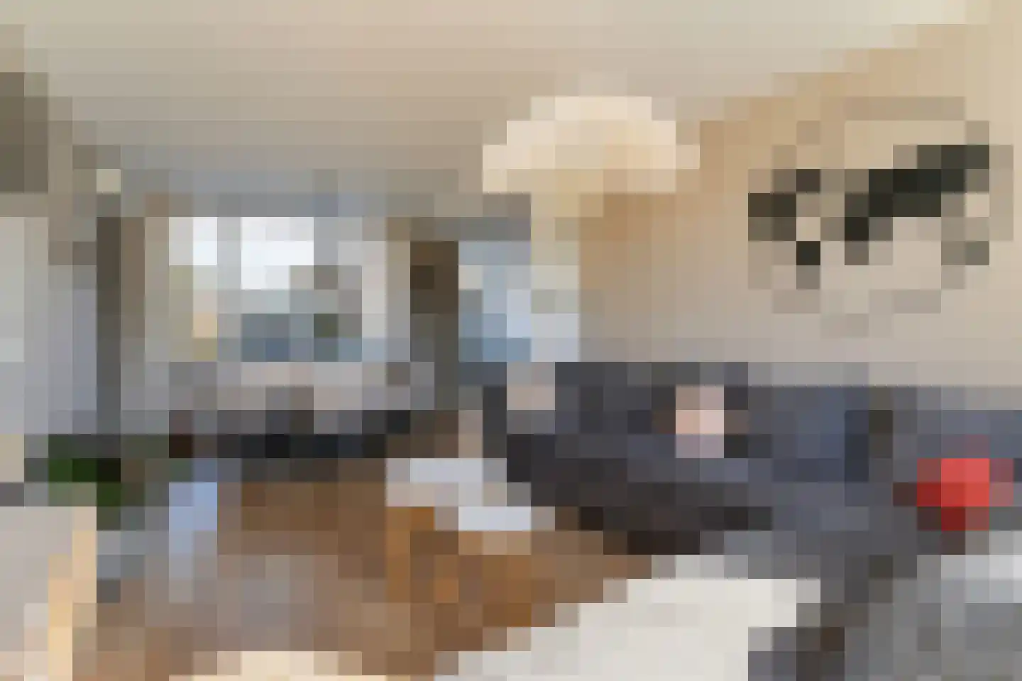 Lelystraat 38 Kampen thumbnail 10