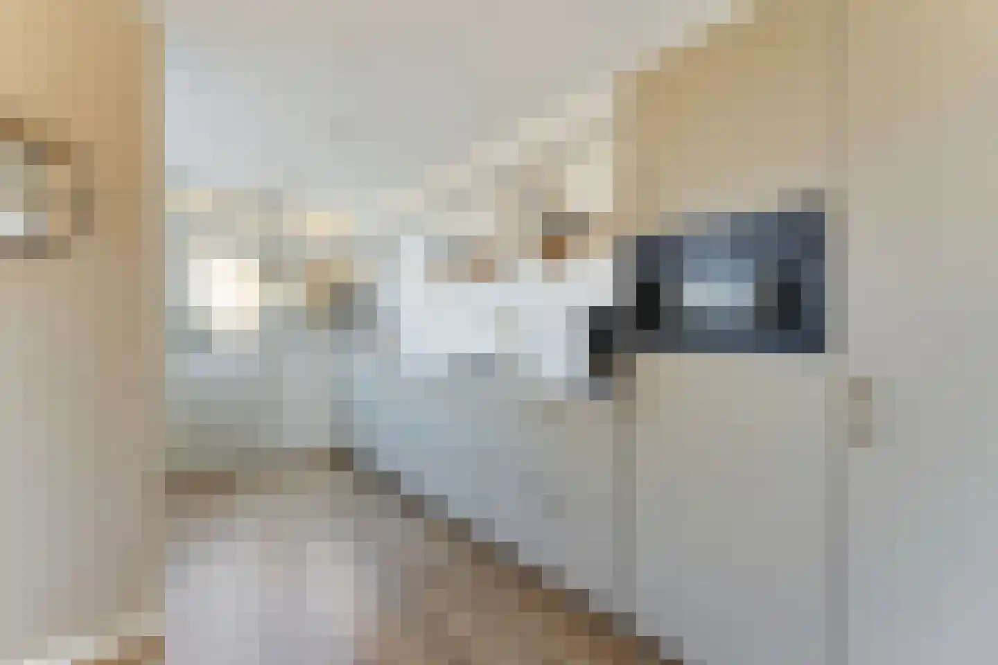 Lelystraat 38 Kampen thumbnail 14