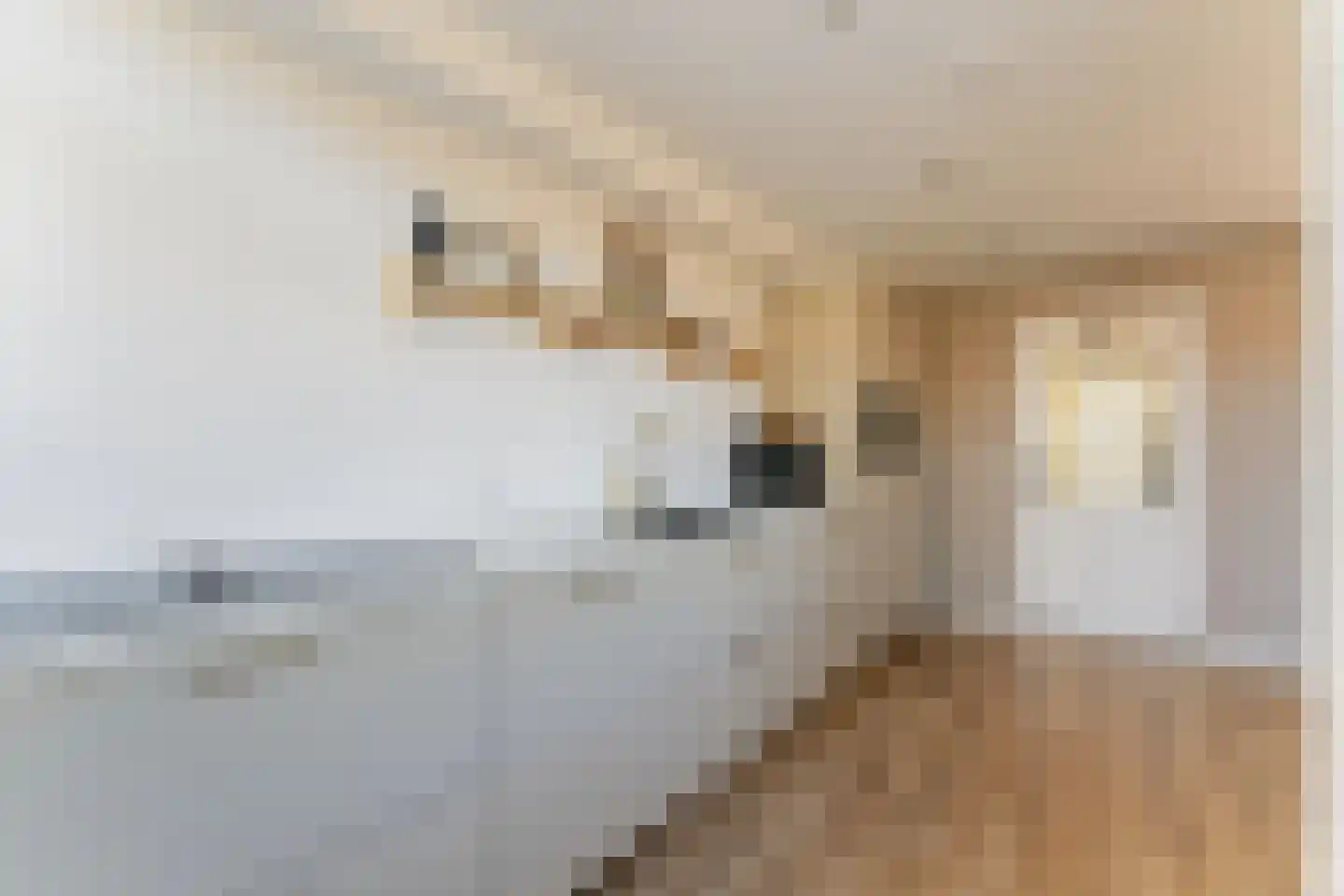 Lelystraat 38 Kampen thumbnail 16