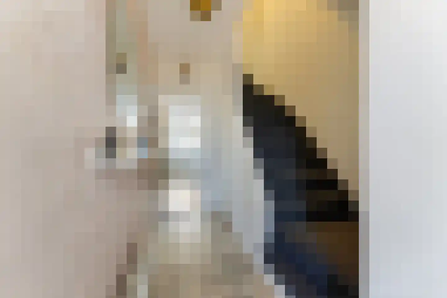 Lelystraat 38 Kampen thumbnail 6