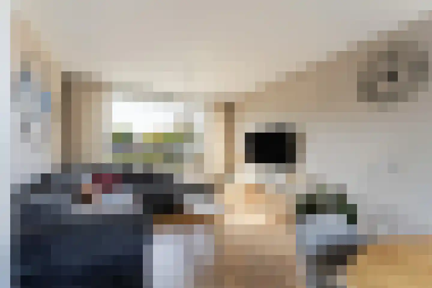 Lelystraat 38 Kampen thumbnail 8