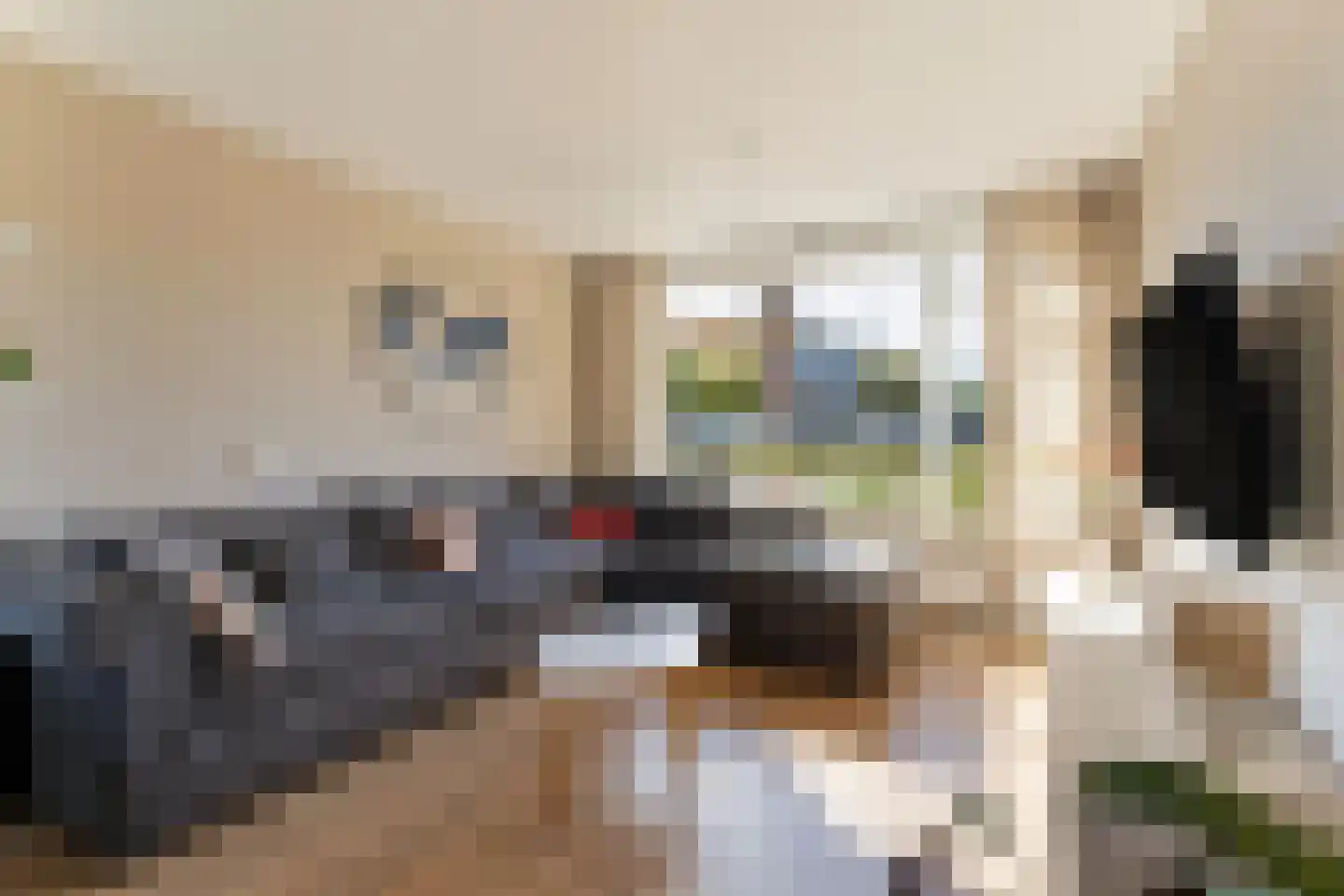 Lelystraat 38 Kampen thumbnail 9