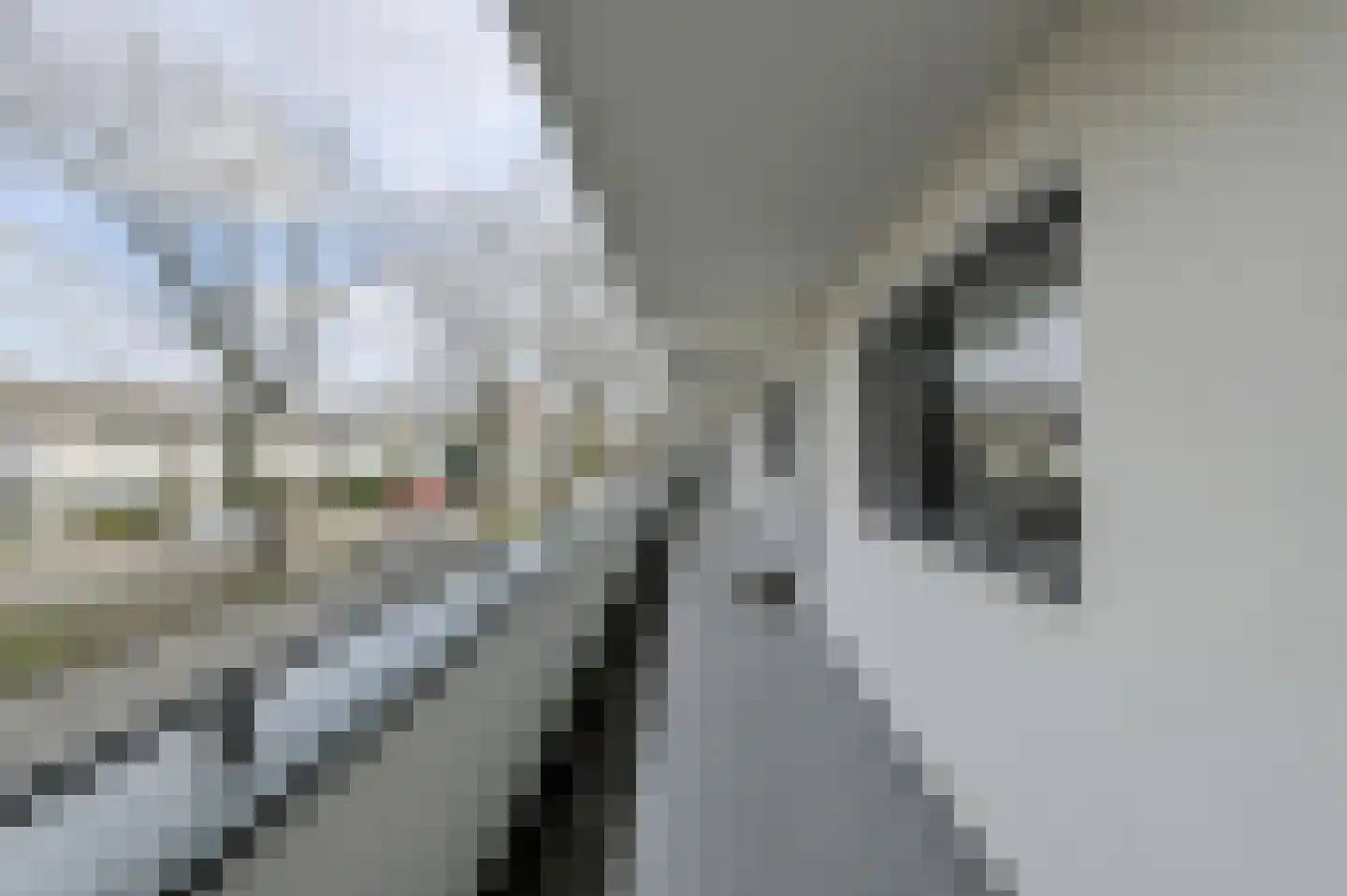 Lelystraat 384 Breda thumbnail 35
