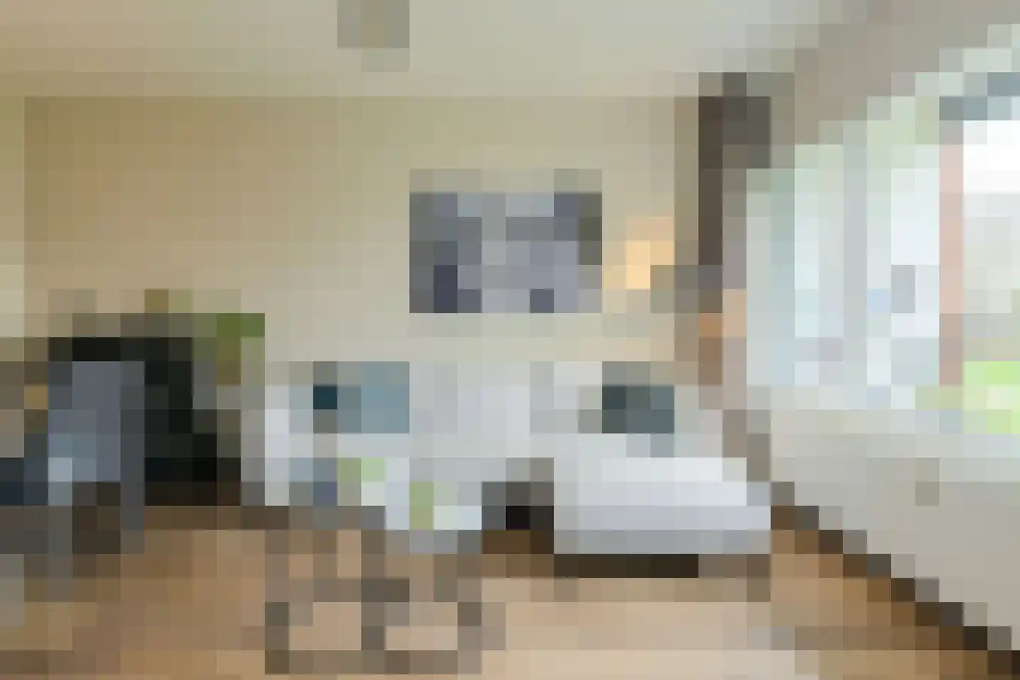 Lelystraat 384 Breda thumbnail 8