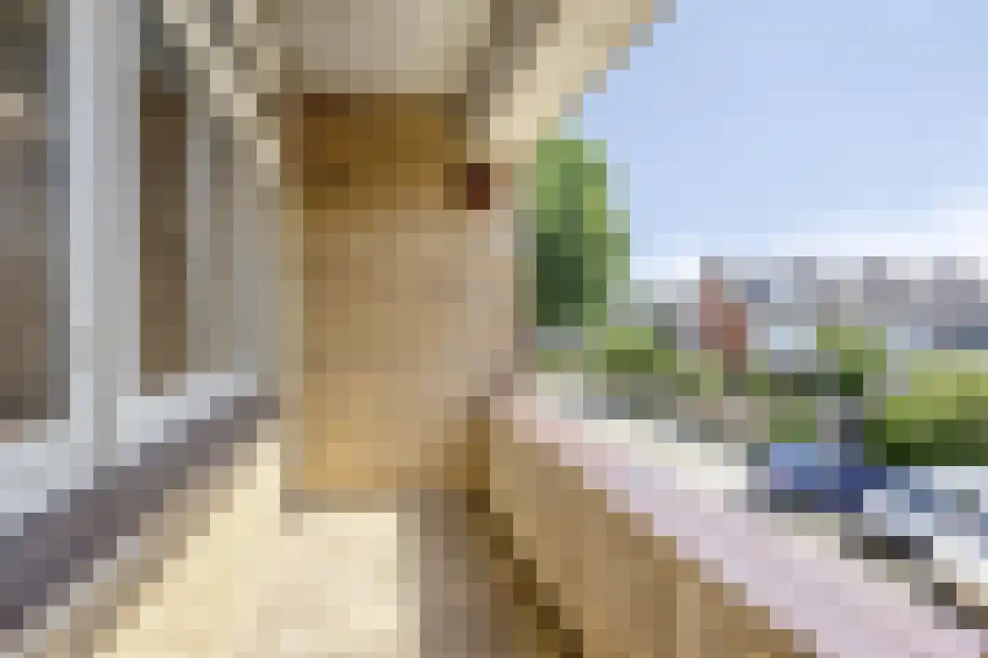 Lelystraat 68 Kampen thumbnail 21