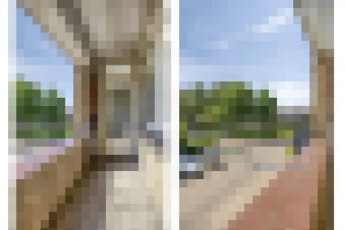 Lelystraat 68 Kampen thumbnail 22