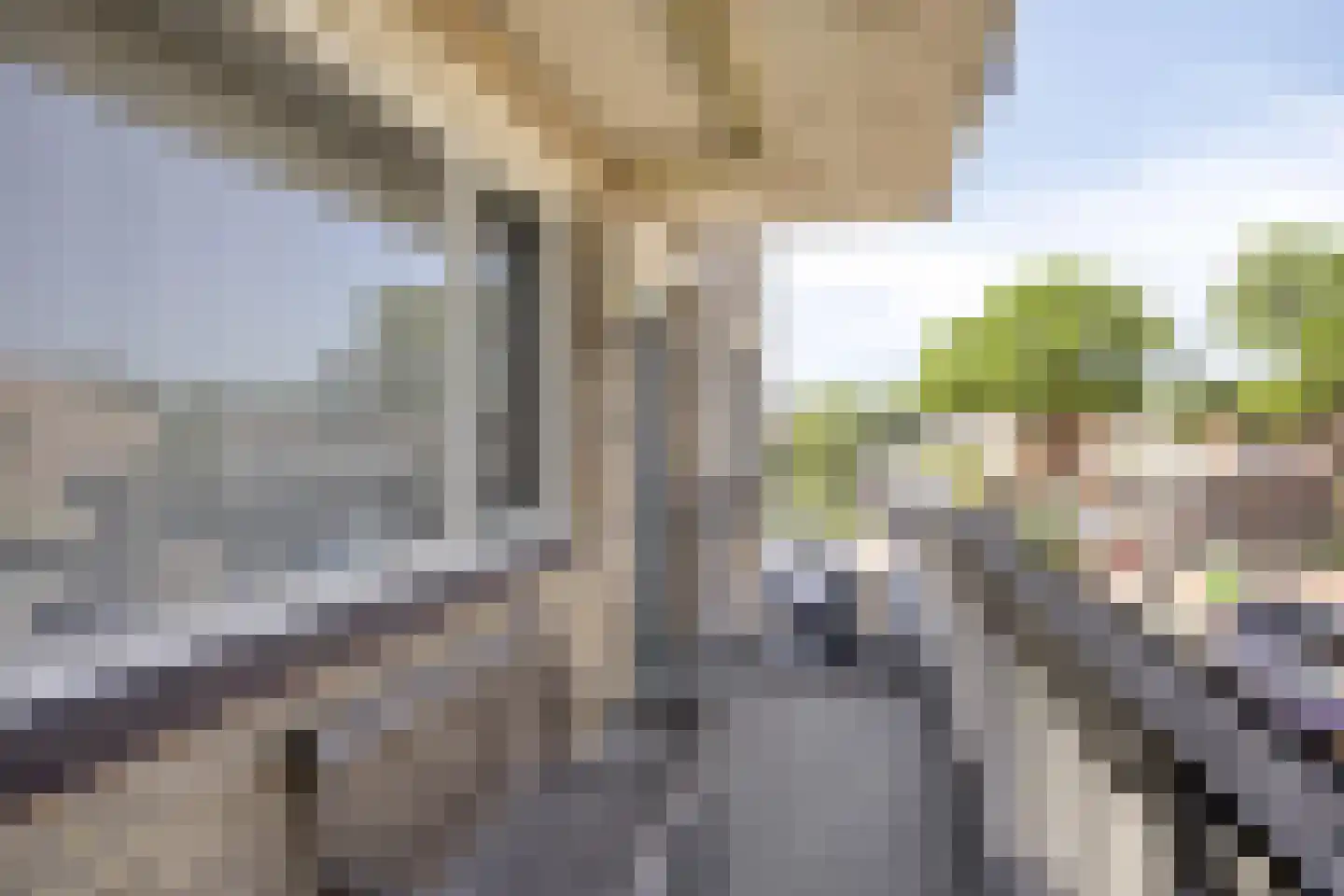 Lelystraat 68 Kampen thumbnail 32