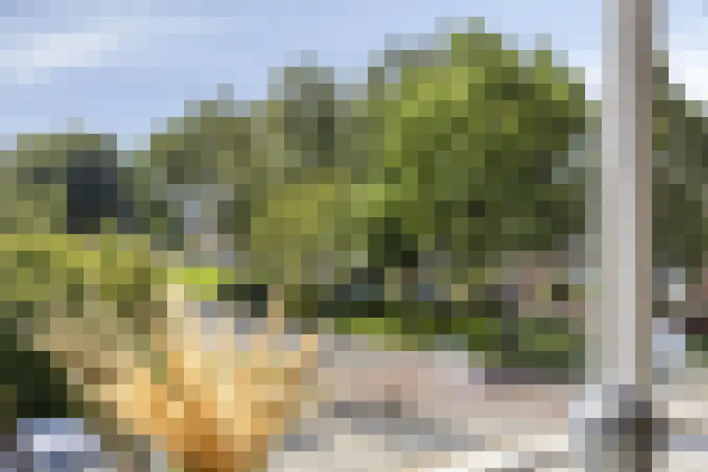Lelystraat 68 Kampen thumbnail 6