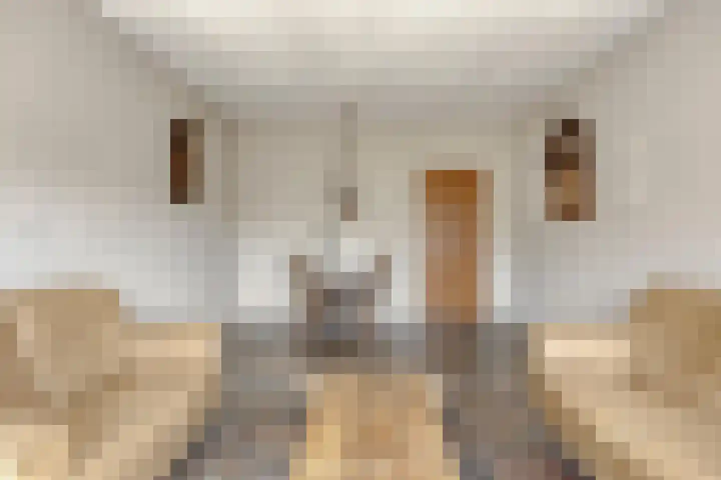 Lelystraat 68 Kampen thumbnail 8