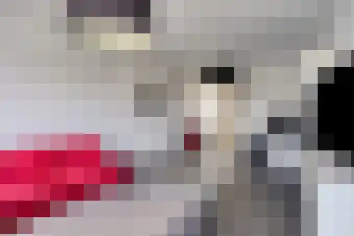 Lelystraat 78 Kampen thumbnail 12