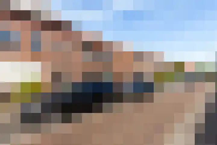 Lelystraat 9 Hardinxveld-Giessendam thumbnail 29