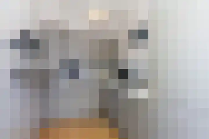 Lelystraat 9 Hardinxveld-Giessendam thumbnail 7
