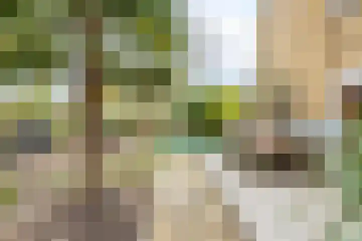 Lelystraat 96 Kampen thumbnail 39