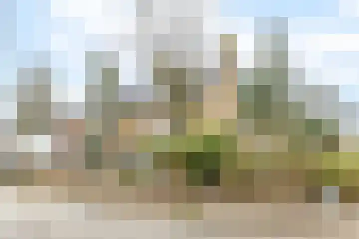 Lelystraat 96 Kampen thumbnail 4