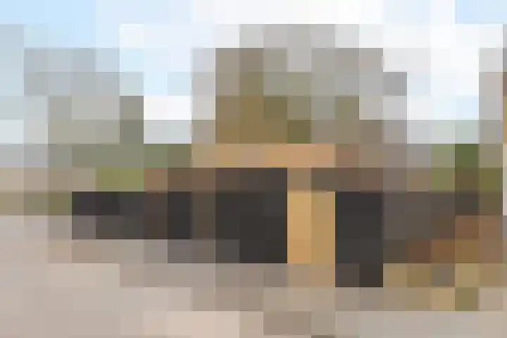 Lelystraat 96 Kampen thumbnail 43