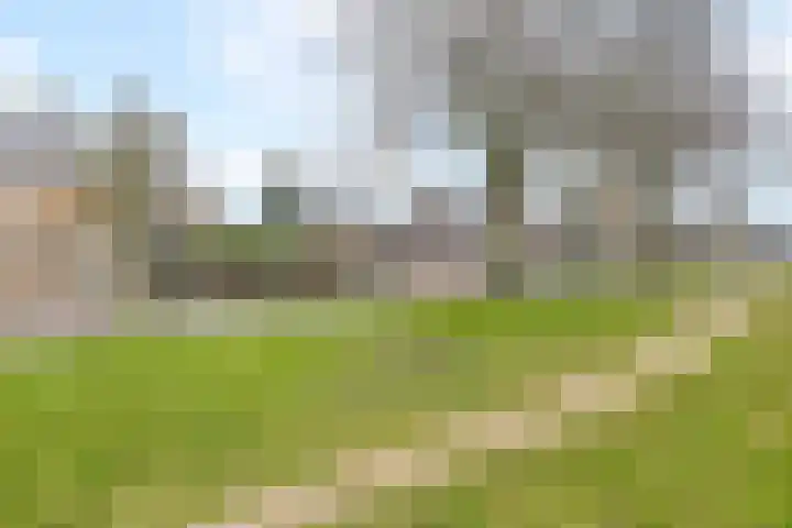 Lelystraat 96 Kampen thumbnail 5