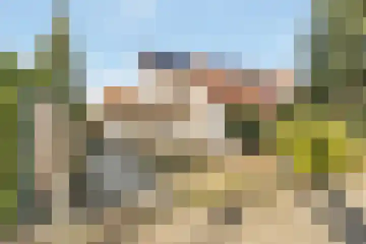 Lelyweg 112 Zeewolde thumbnail 35