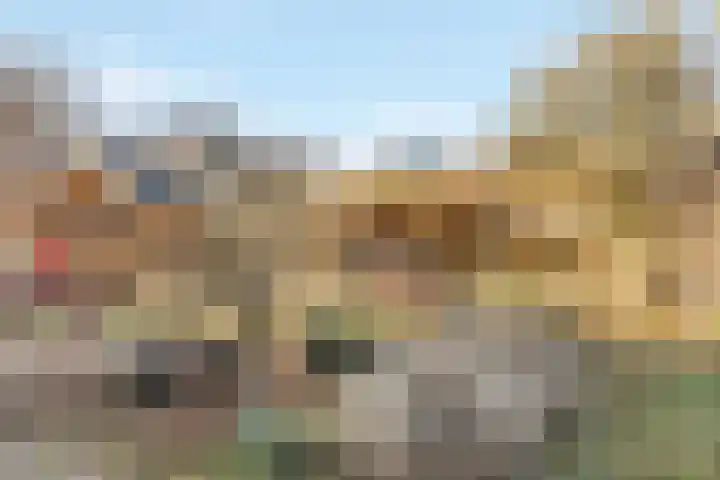 Lelyweg 112 Zeewolde thumbnail 37