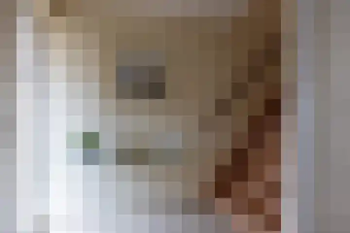 Lelyweg 3 Bergschenhoek thumbnail 17