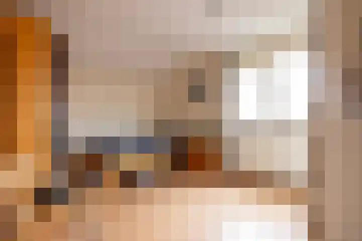 Lelyweg 3 Bergschenhoek thumbnail 22