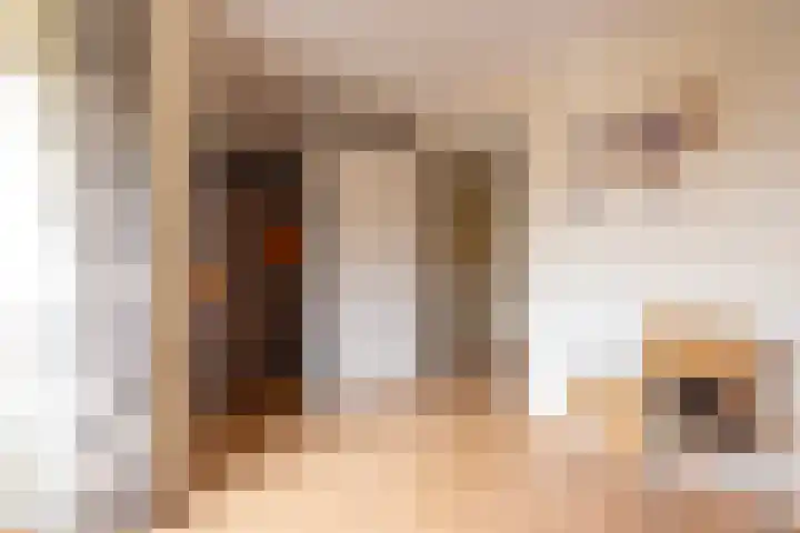 Lelyweg 3 Bergschenhoek thumbnail 23