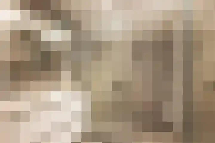 Lelyweg 3 Bergschenhoek thumbnail 25