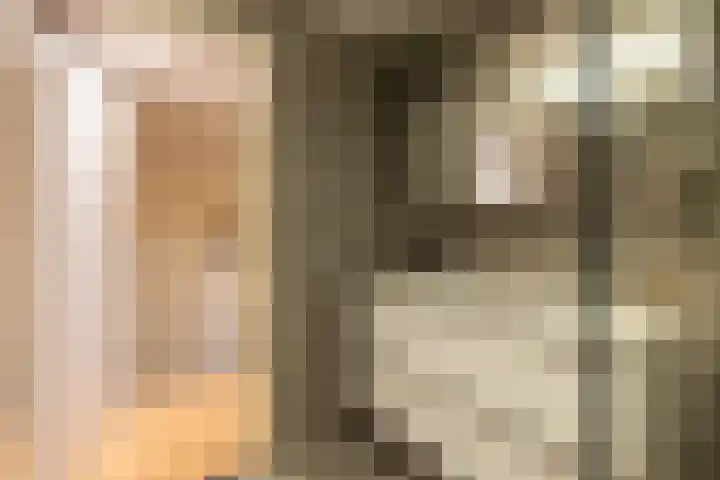 Lelyweg 3 Bergschenhoek thumbnail 26