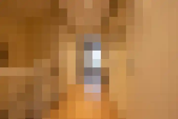 Lelyweg 3 Bergschenhoek thumbnail 28