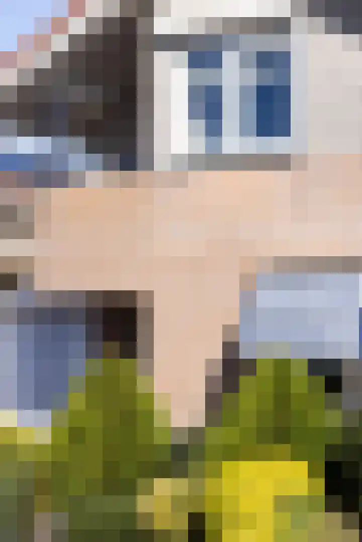 Lelyweg 3 Bergschenhoek thumbnail 29