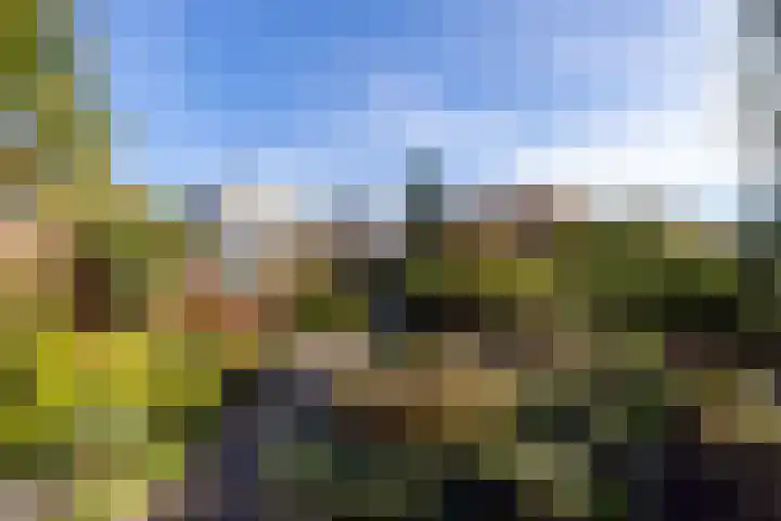 Lelyweg 3 Bergschenhoek thumbnail 30