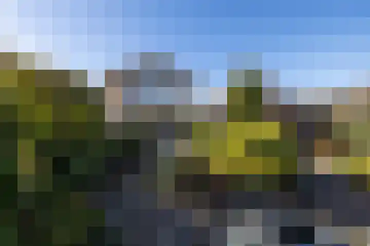 Lelyweg 3 Bergschenhoek thumbnail 32