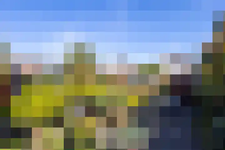 Lelyweg 3 Bergschenhoek thumbnail 33