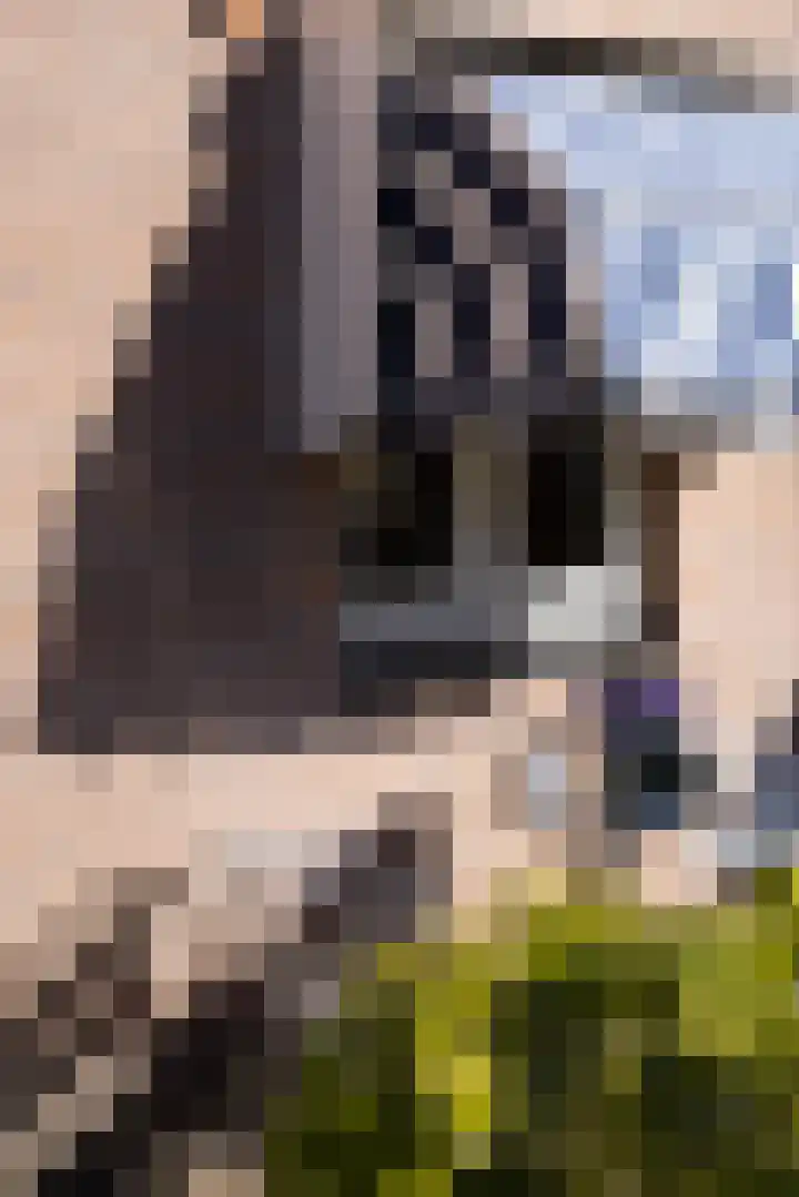 Lelyweg 3 Bergschenhoek thumbnail 34