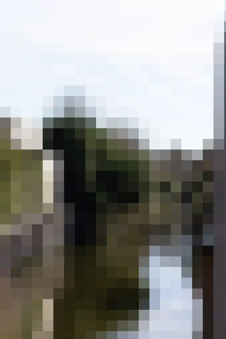 Lelyweg 3 Bergschenhoek thumbnail 35