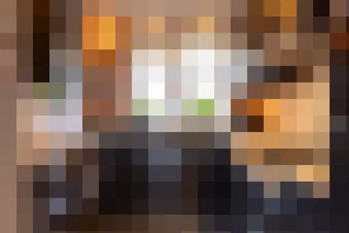 Lelyweg 3 Bergschenhoek thumbnail 4