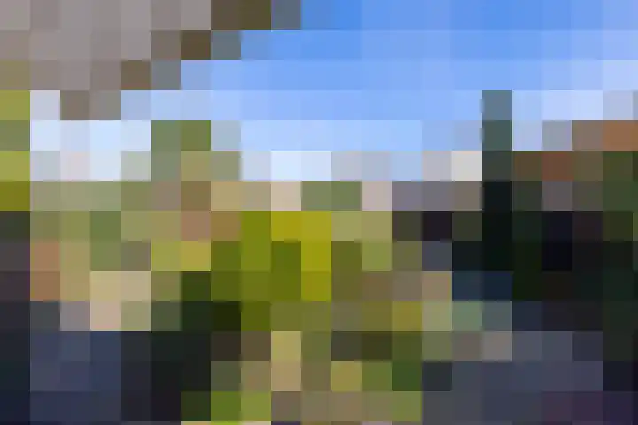 Lelyweg 3 Bergschenhoek thumbnail 5