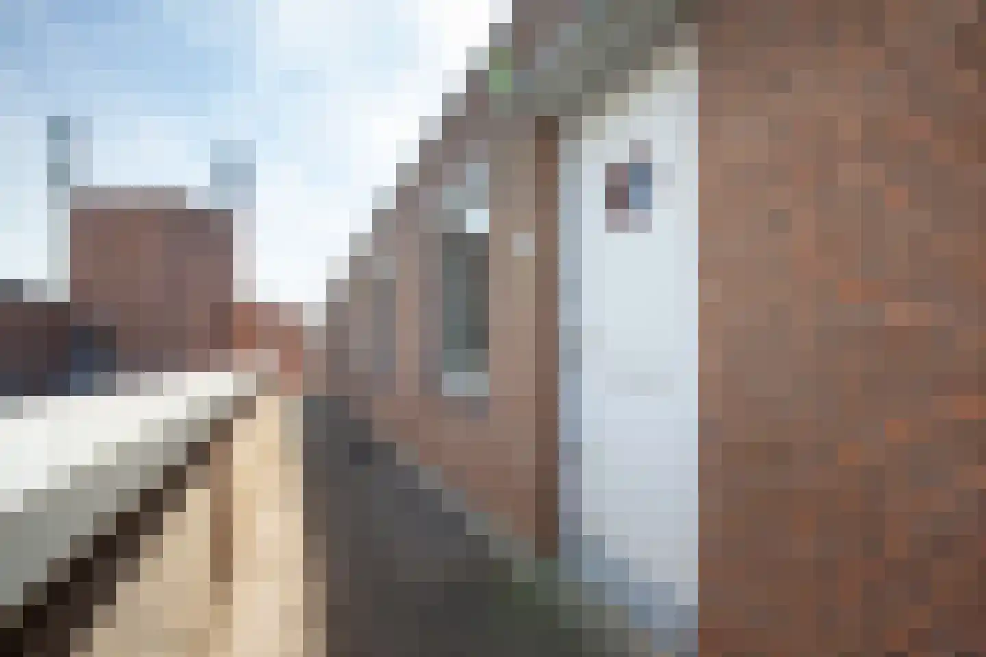 Lem Dulstraat 59 Gouda thumbnail 13