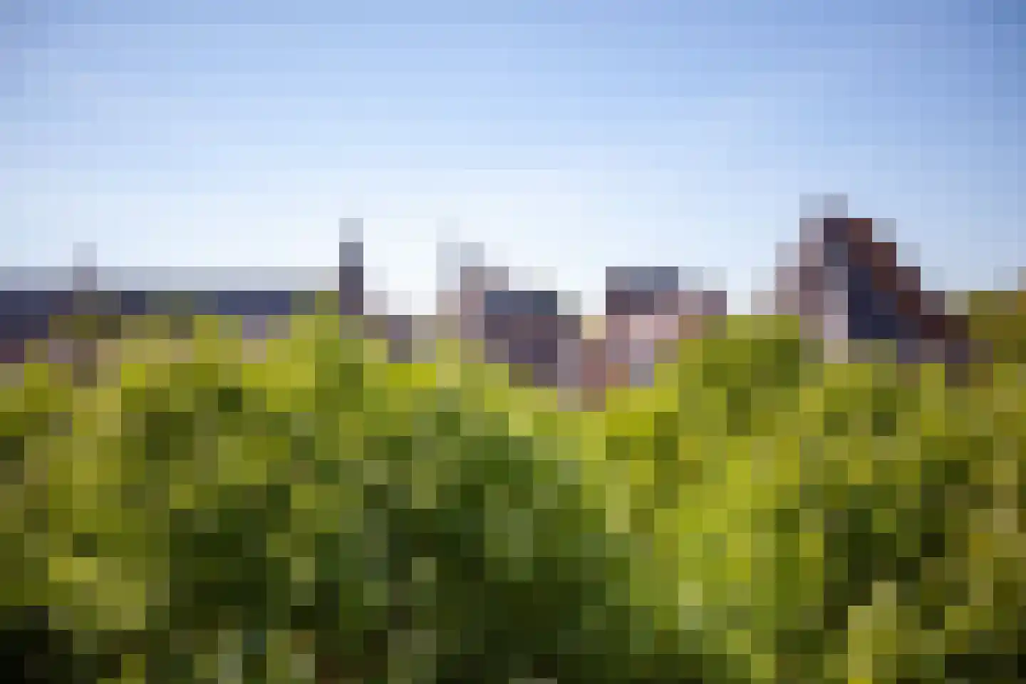 Lem Dulstraat 59 Gouda thumbnail 34