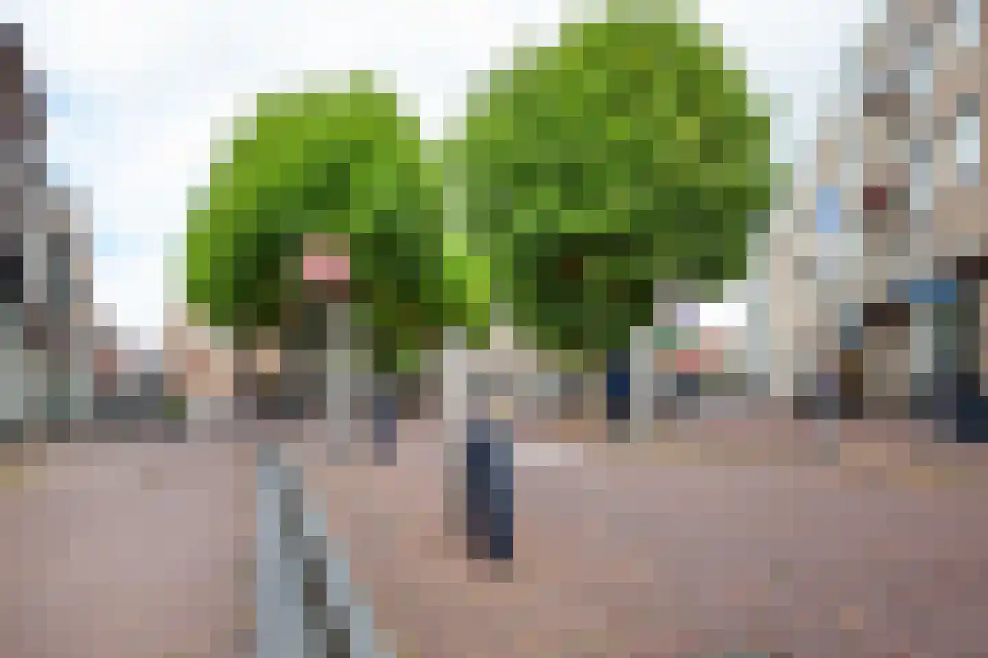 Lem Dulstraat 59 Gouda thumbnail 40