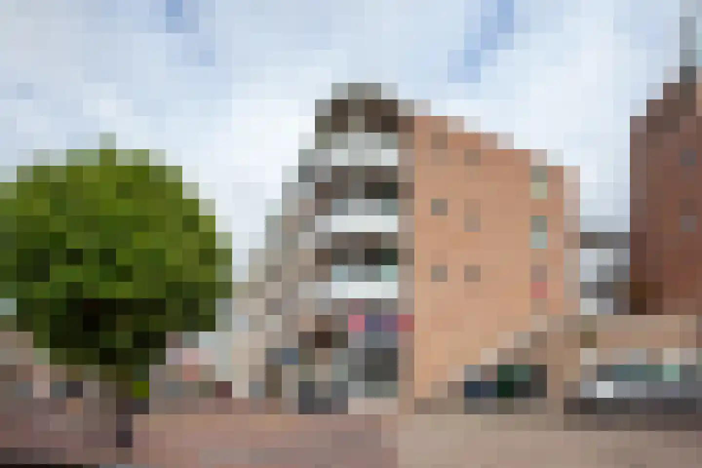 Lem Dulstraat 59 Gouda thumbnail 8