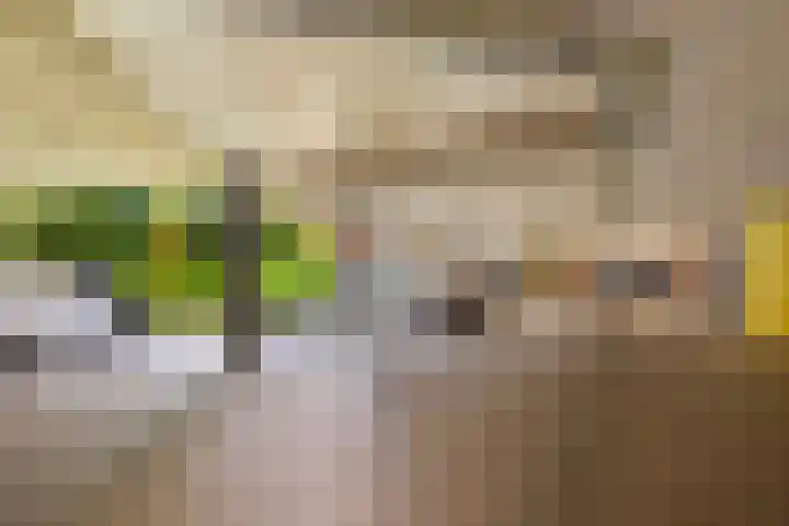 Lemelerberg 107 Capelle aan den IJssel thumbnail 48