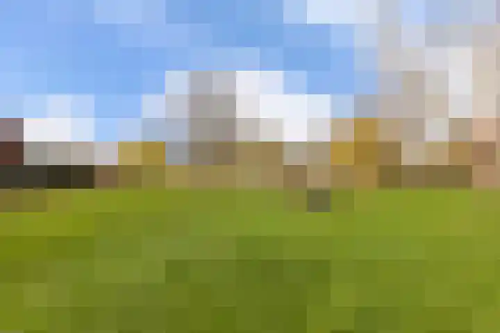 Lemelerberg 107 Capelle aan den IJssel thumbnail 49