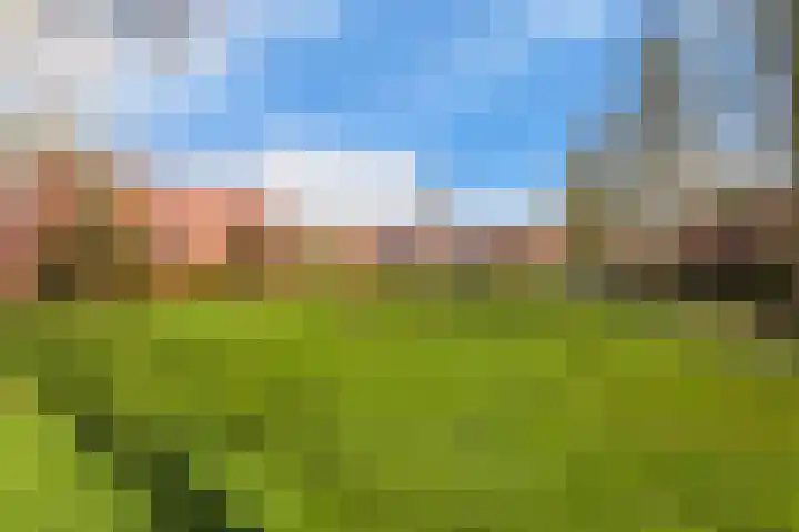 Lemelerberg 107 Capelle aan den IJssel thumbnail 50