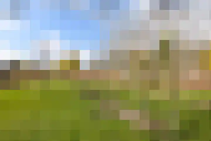 Lemelerberg 107 Capelle aan den IJssel thumbnail 52