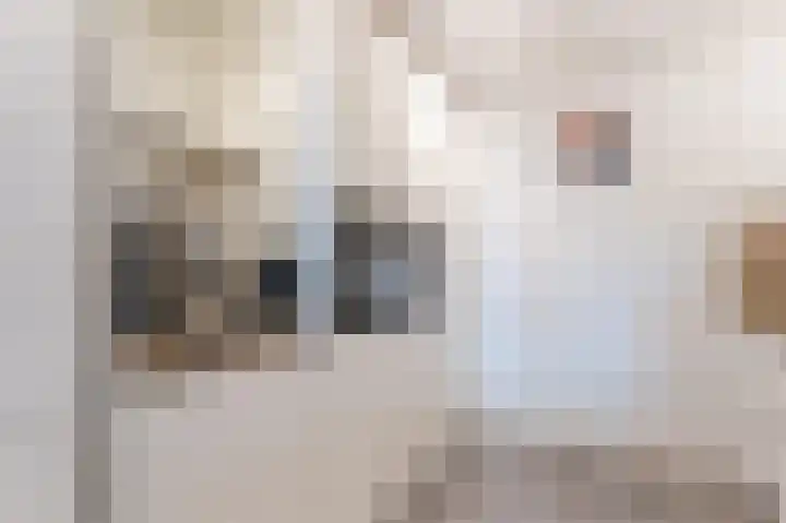 Lemelerberg 111 Capelle aan den IJssel thumbnail 20