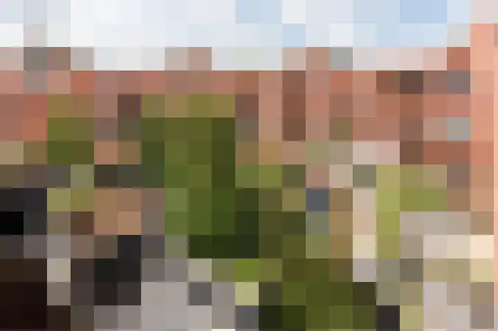 Lemelerberg 111 Capelle aan den IJssel thumbnail 30